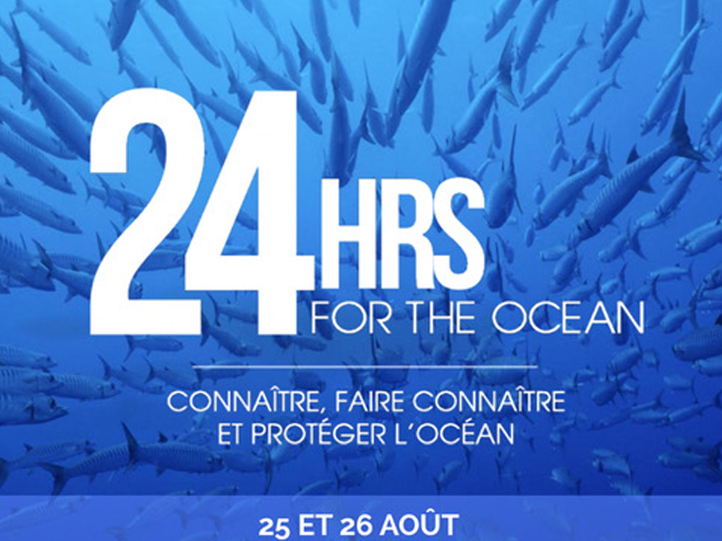 24hrs For The Ocean