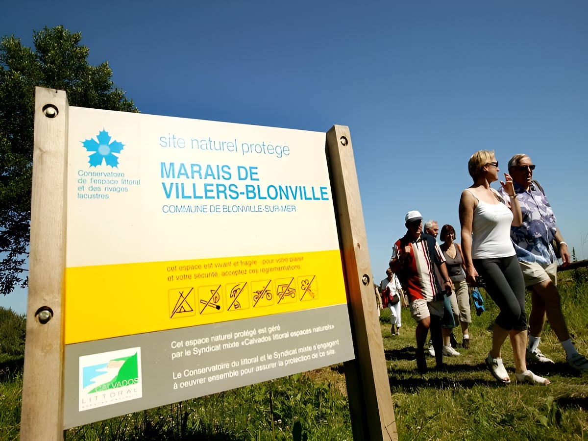 Sortie nature : Les marais de Villers-Blonville à VTT