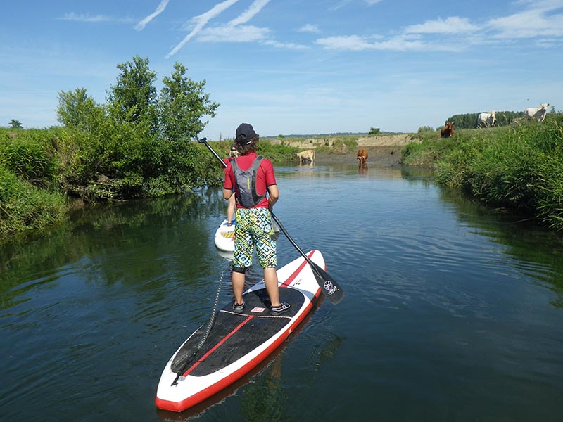 Randonnée dans les marais de la Touques