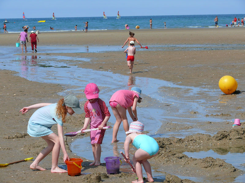 Sortie pêche à pied
