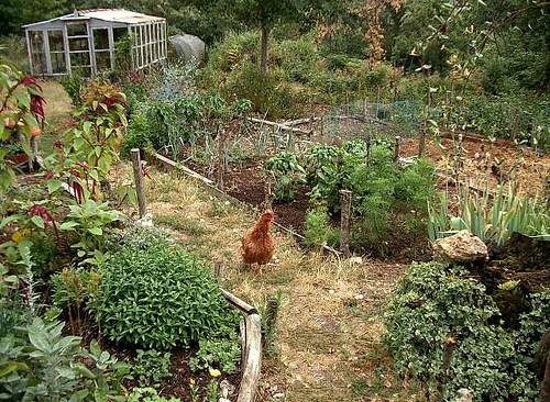 Saint Pierre du Val - visite commentée par le propriétaire, de son jardin en permaculture