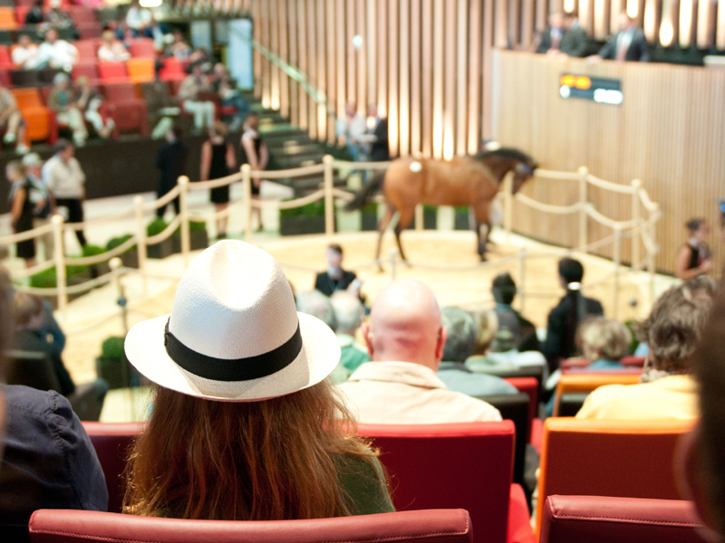 Vente de yearlings