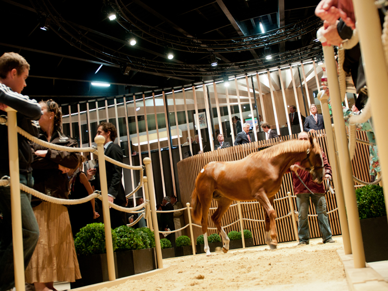 Vente de yearlings v.2
