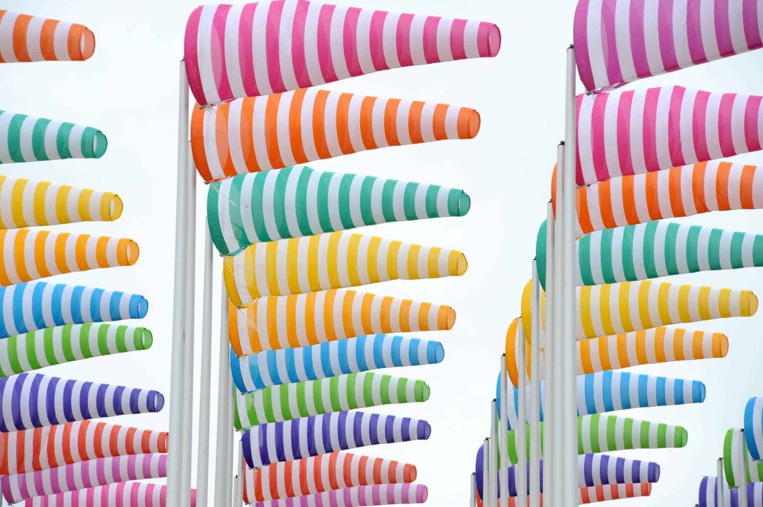 Exposition : Carte blanche à Daniel Buren