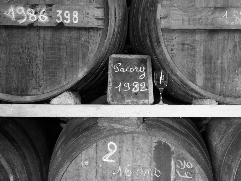 Pacory - Ferme des Grimaux