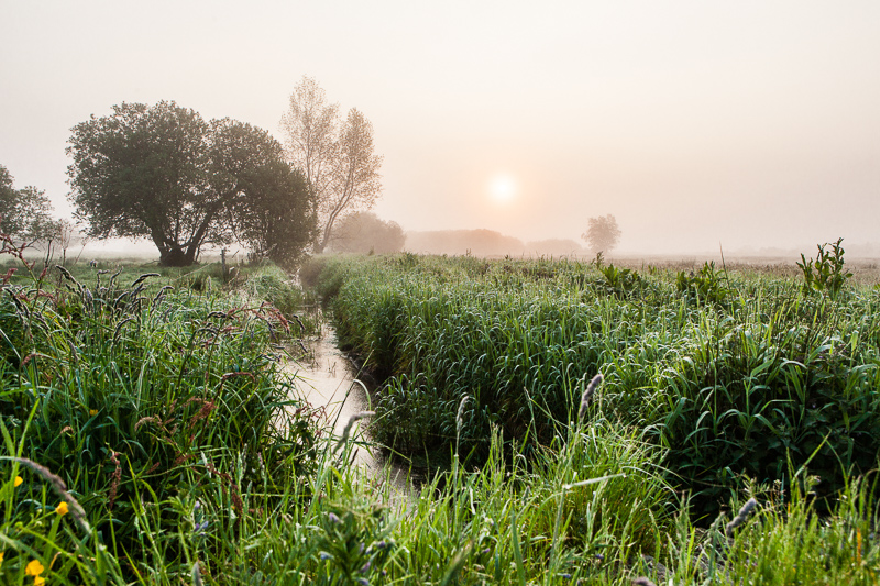 Eglises et marais de la Taute - Randonnée