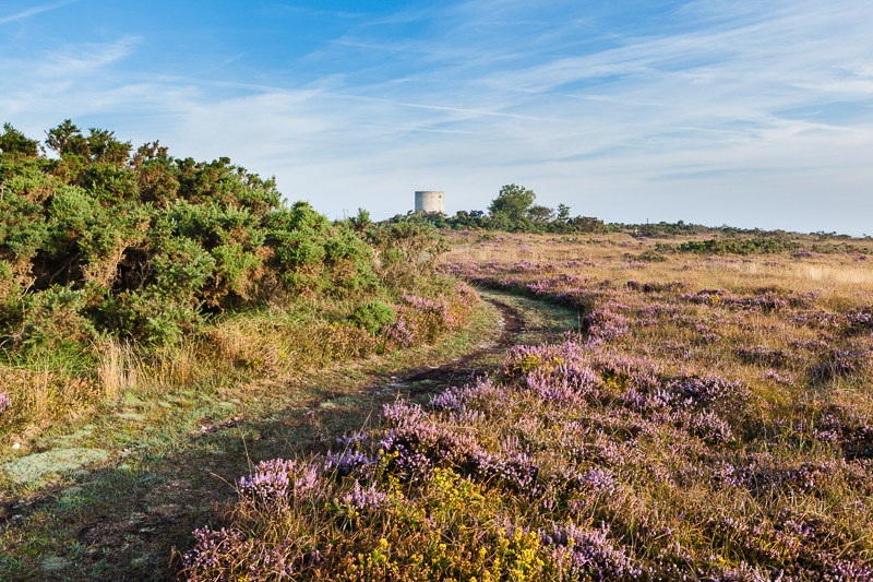 Le Mont de Doville - Randonnée