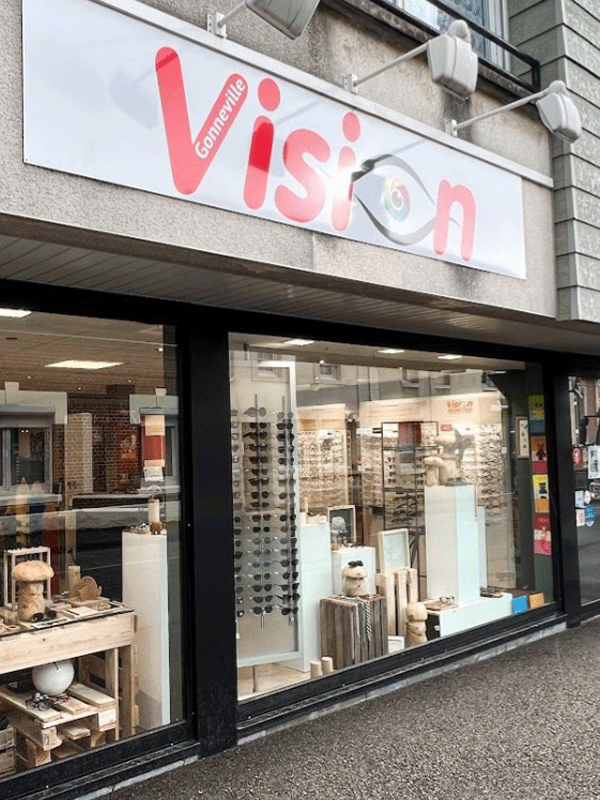 © Vision Gonneville (3)