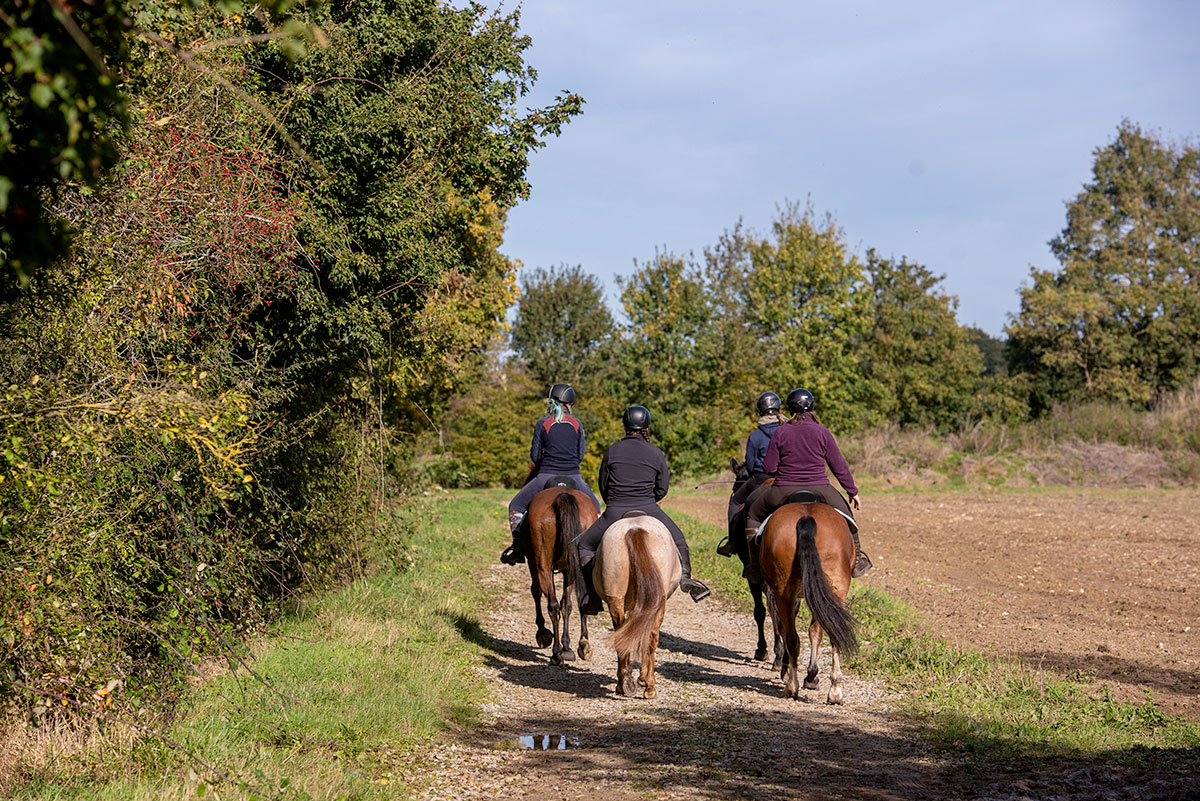 Etape 5 La Chevauchée du Pays d'Auge à la Seine : Orbec - Broglie