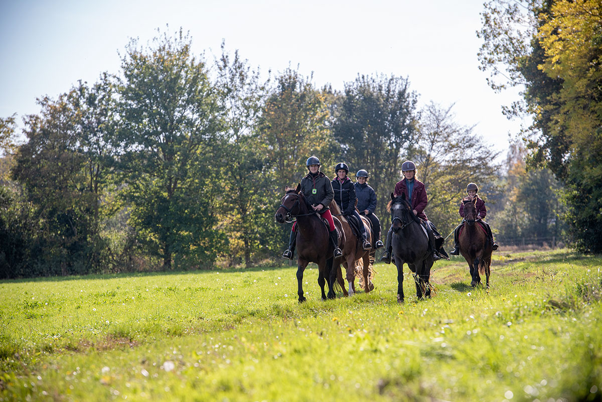 Etape 2 La Chevauchée du Pays d'Auge à la Seine : Perrières - Le Billot, Perrières