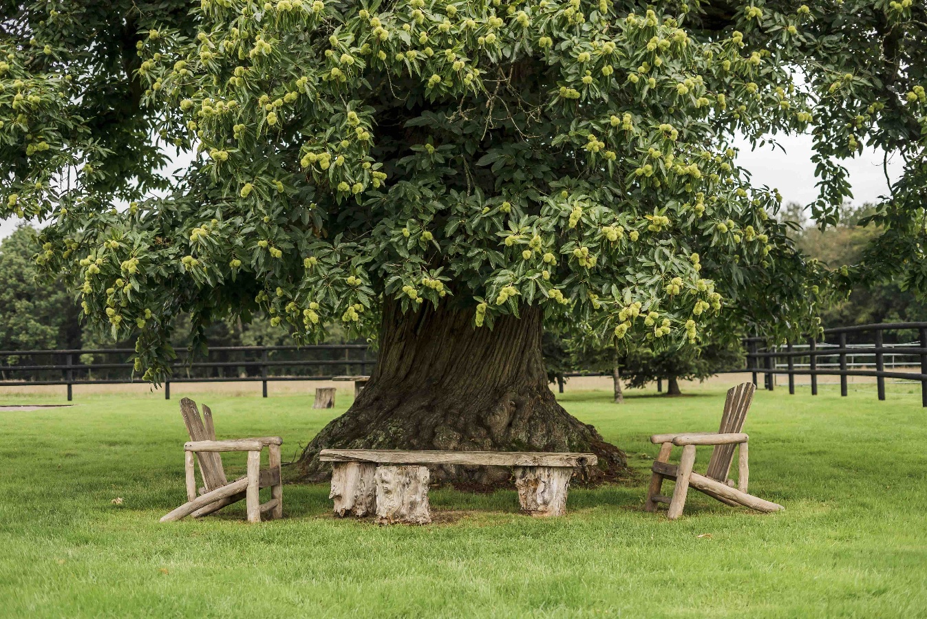 Le Lodge du Pré des Colombiers, Valorbiquet - photo 3