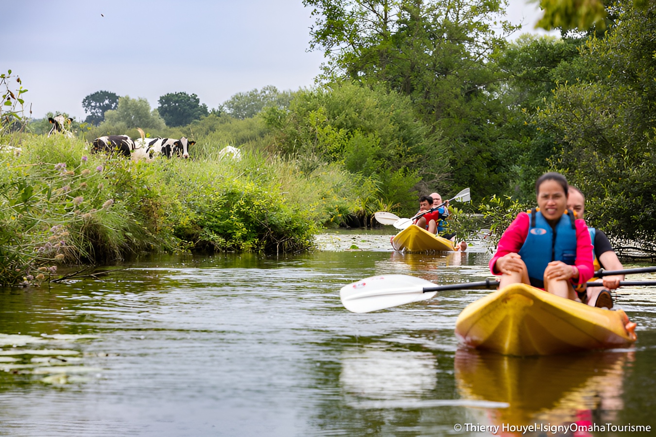 Kayak accompagné dans les marais de l'Elle