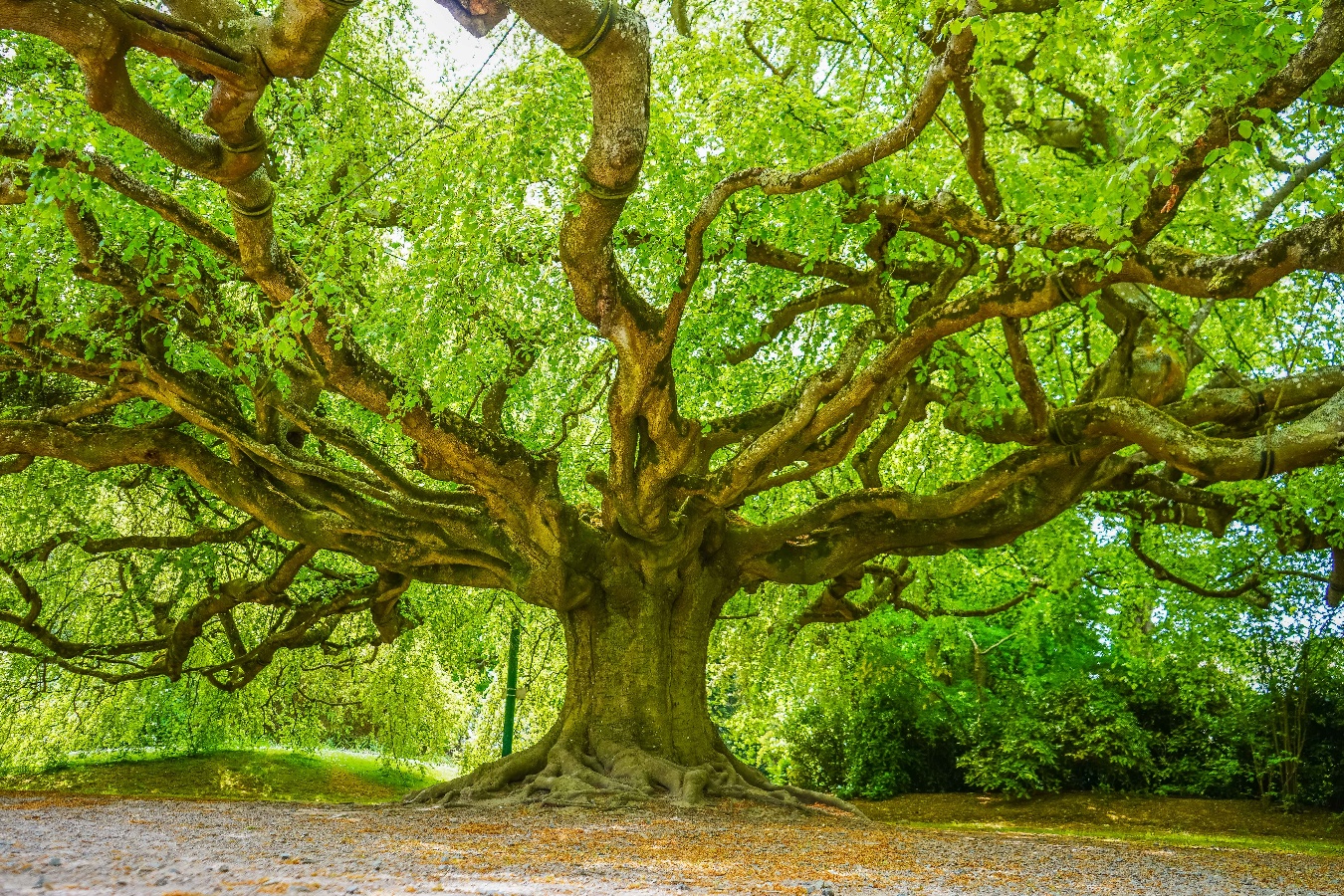 Jardin botanique de Bayeux, Bayeux - photo 3