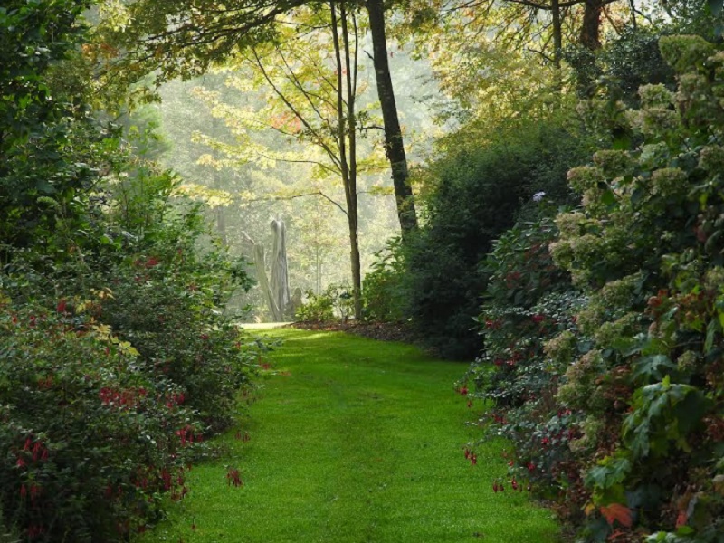 Neurodon au Jardin du Bois du Puits