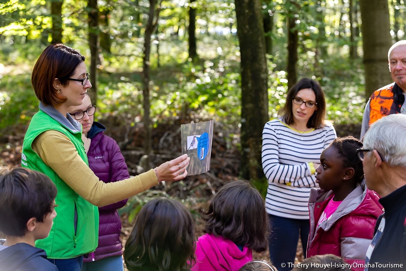 Ateliers en Familles en forêt de Cerisy, Montfiquet