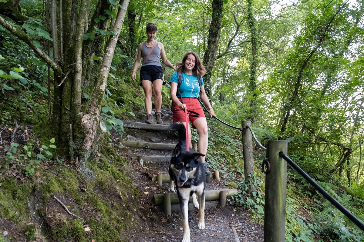 Les vieilles pierres du mont Castre - Randonnée, Montsenelle - photo 5
