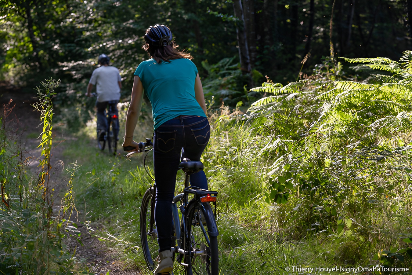 Location de vélos en forêt