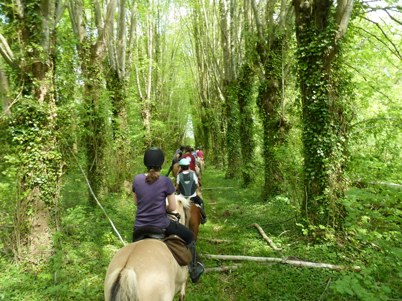 Centre équestre de Montmirel