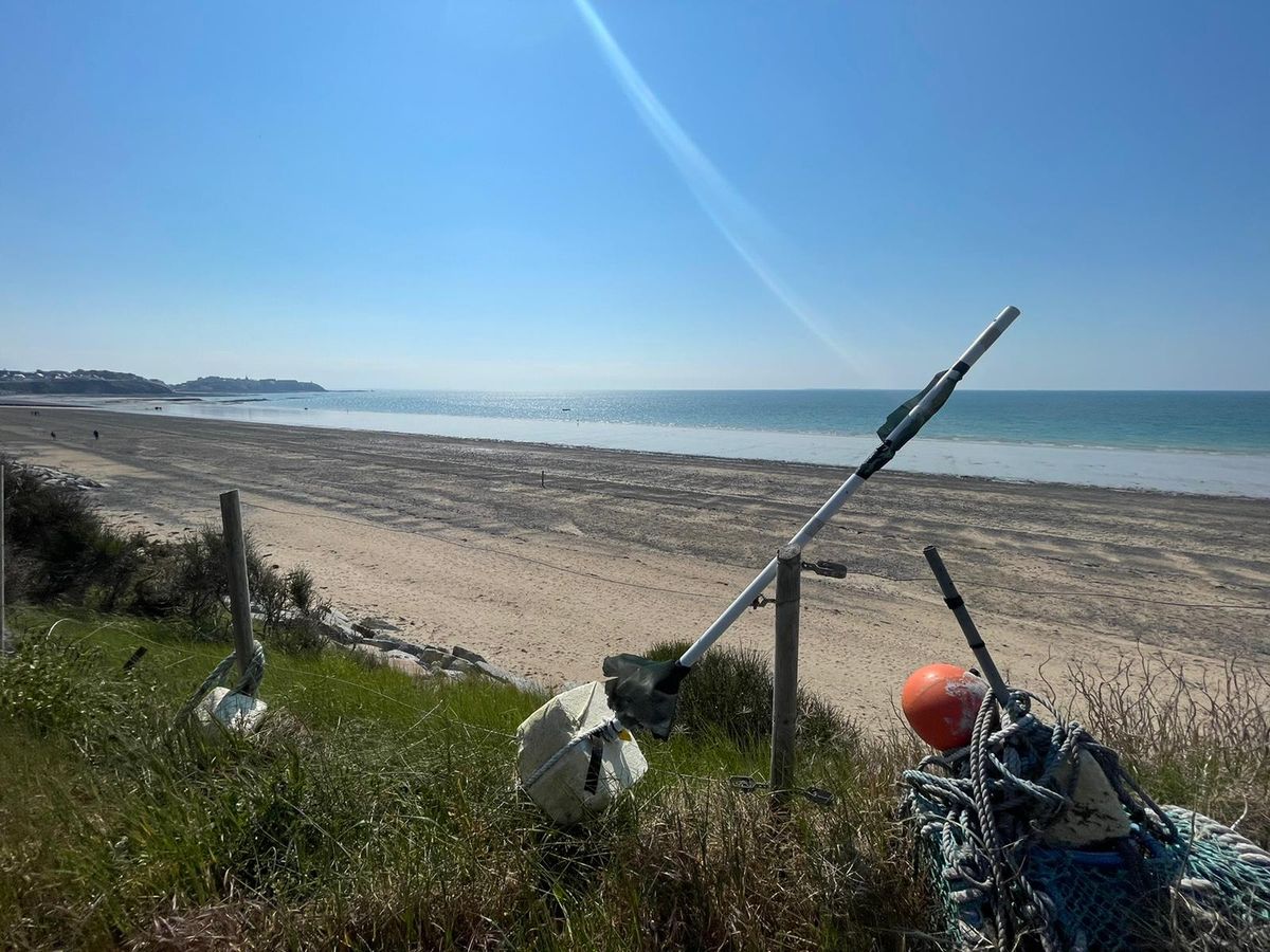 Meublé de tourisme > Les Chardons Bleus n°12