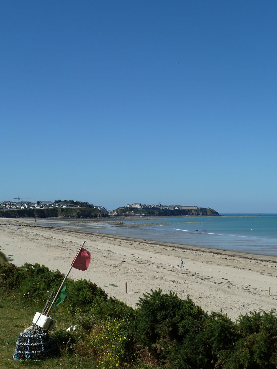 Meublé de tourisme > Les Chardons Bleus n°23
