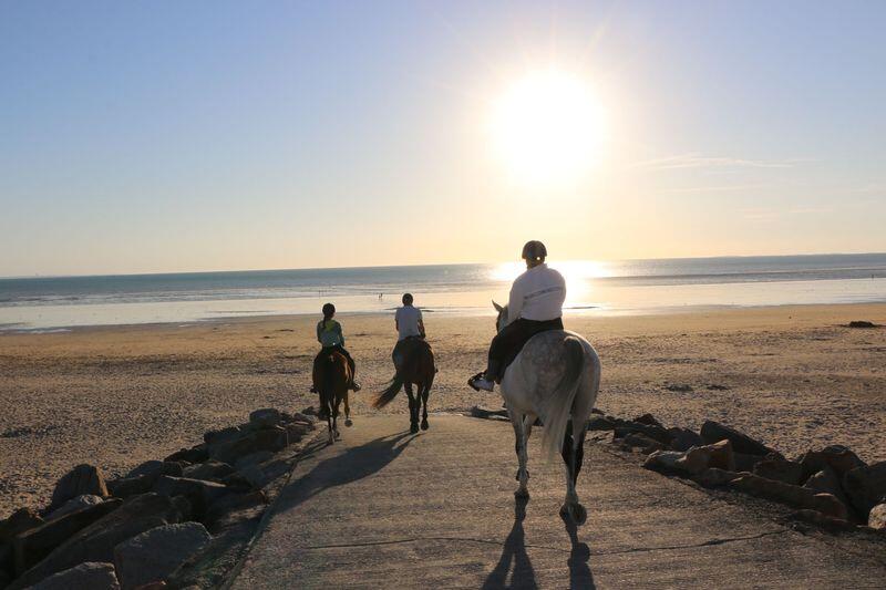La Cavalerie d'Andrea