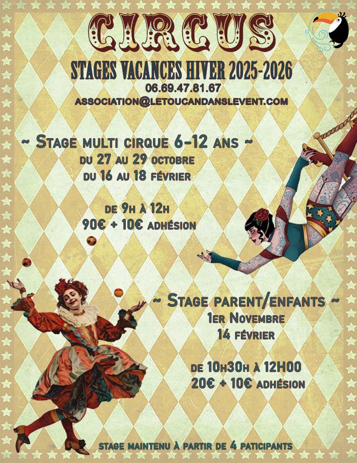 Stages de cirque