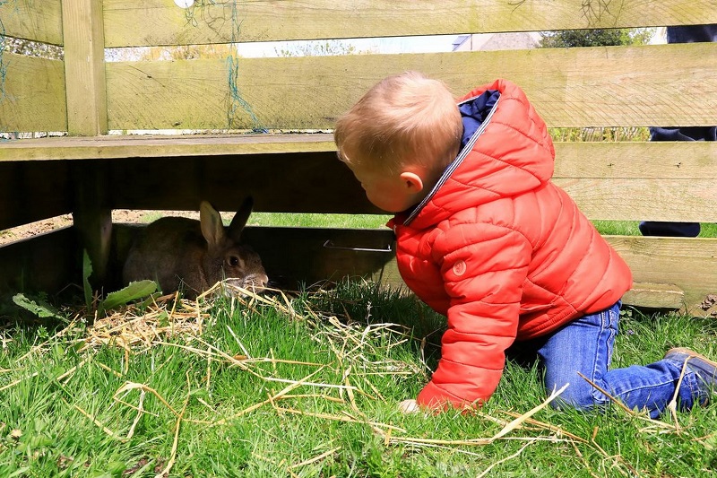 Ferme-musée du Cotentin, Sainte-Mère-Église