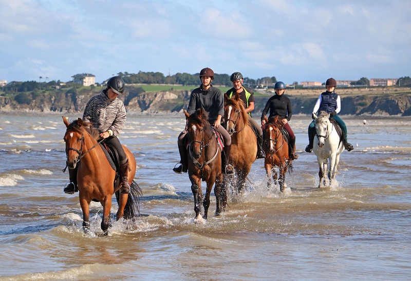 La Cavalerie d'Andrea