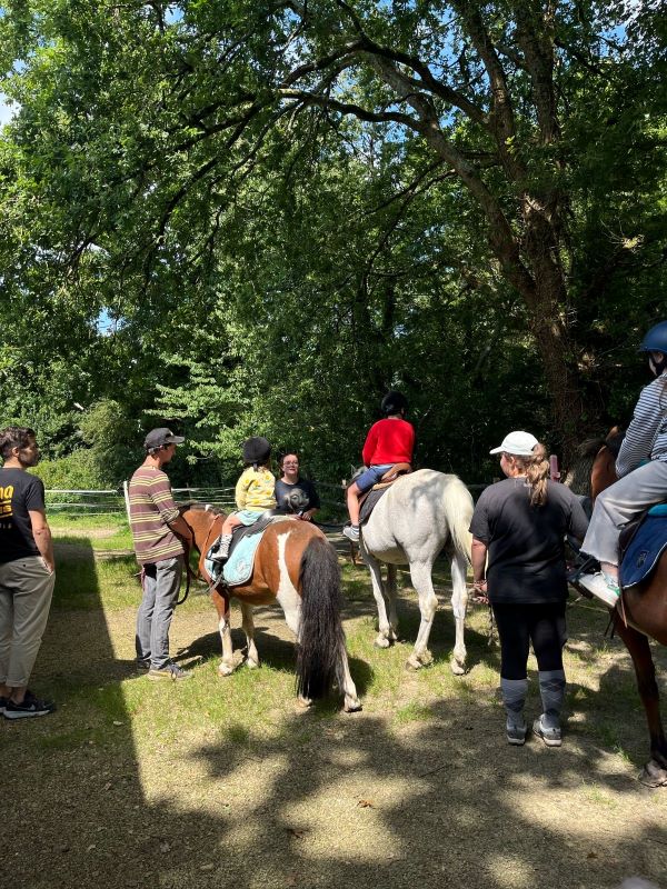 Association "Le cheval un guide vers l'équilibre et la liberté, La Lucerne-d'Outremer - photo 2