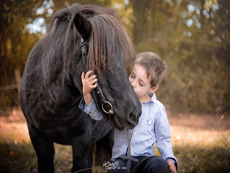 Le Cheval Emeraude, Marigny-Le-Lozon
