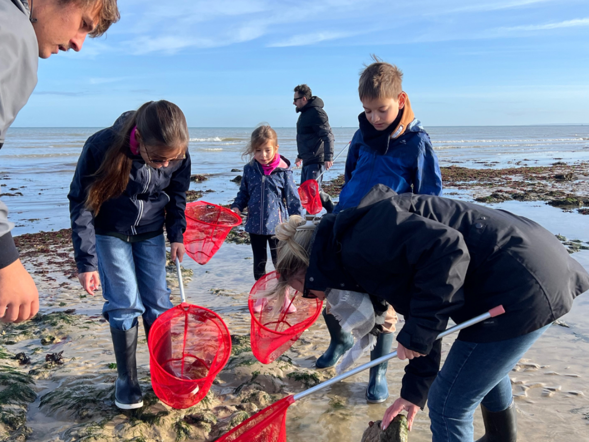 Initiation à la pêche à pied