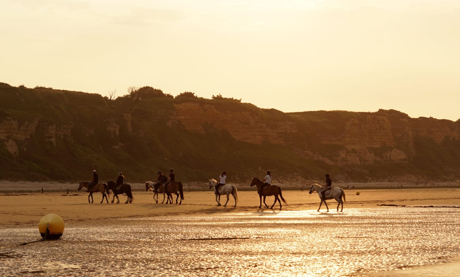 BALADE EQUESTRE EN FAMILLE OU ENTRE AMIS (les Louveaux)