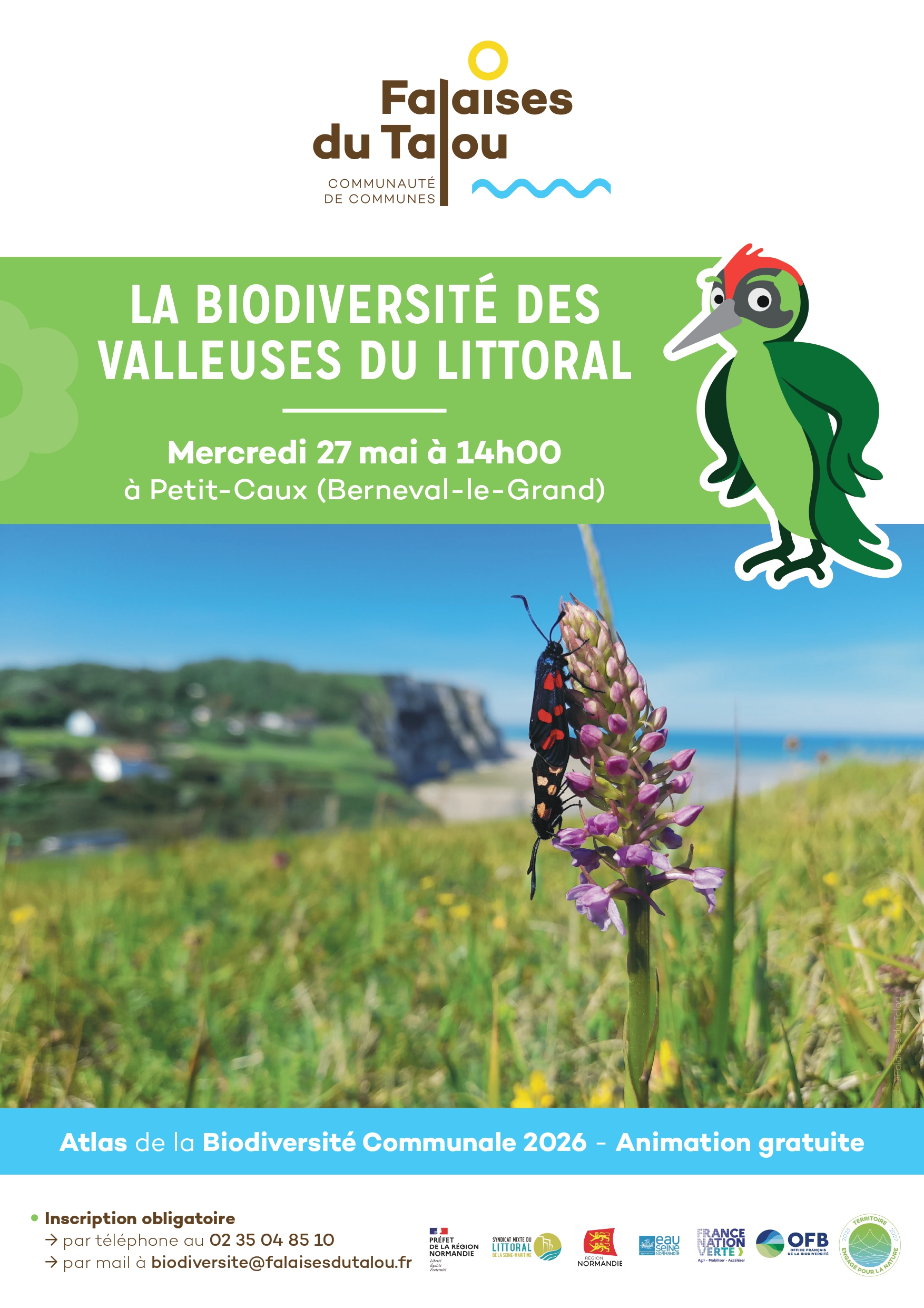 La biodiversité des valleuses du littoral