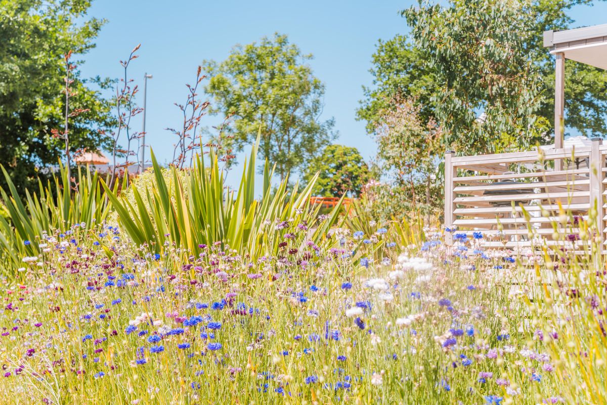 Camping Les Îles - Vagues océanes, Hudimesnil - photo 13
