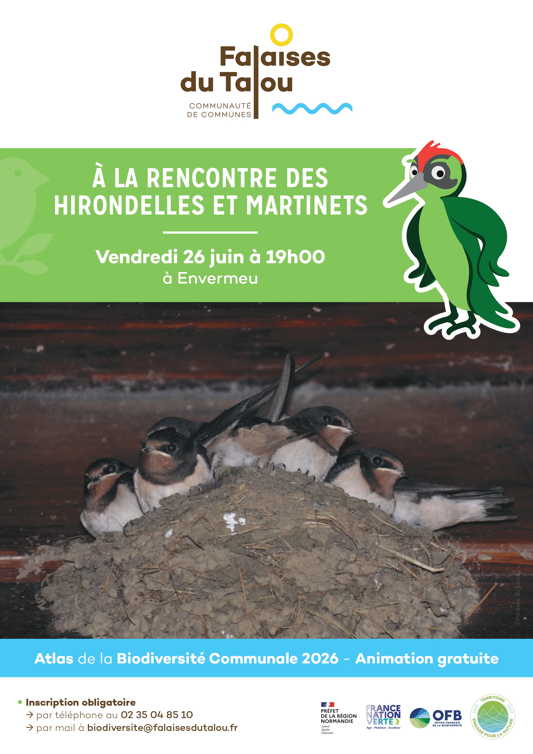 A la rencontre des hirondelles et des martinets