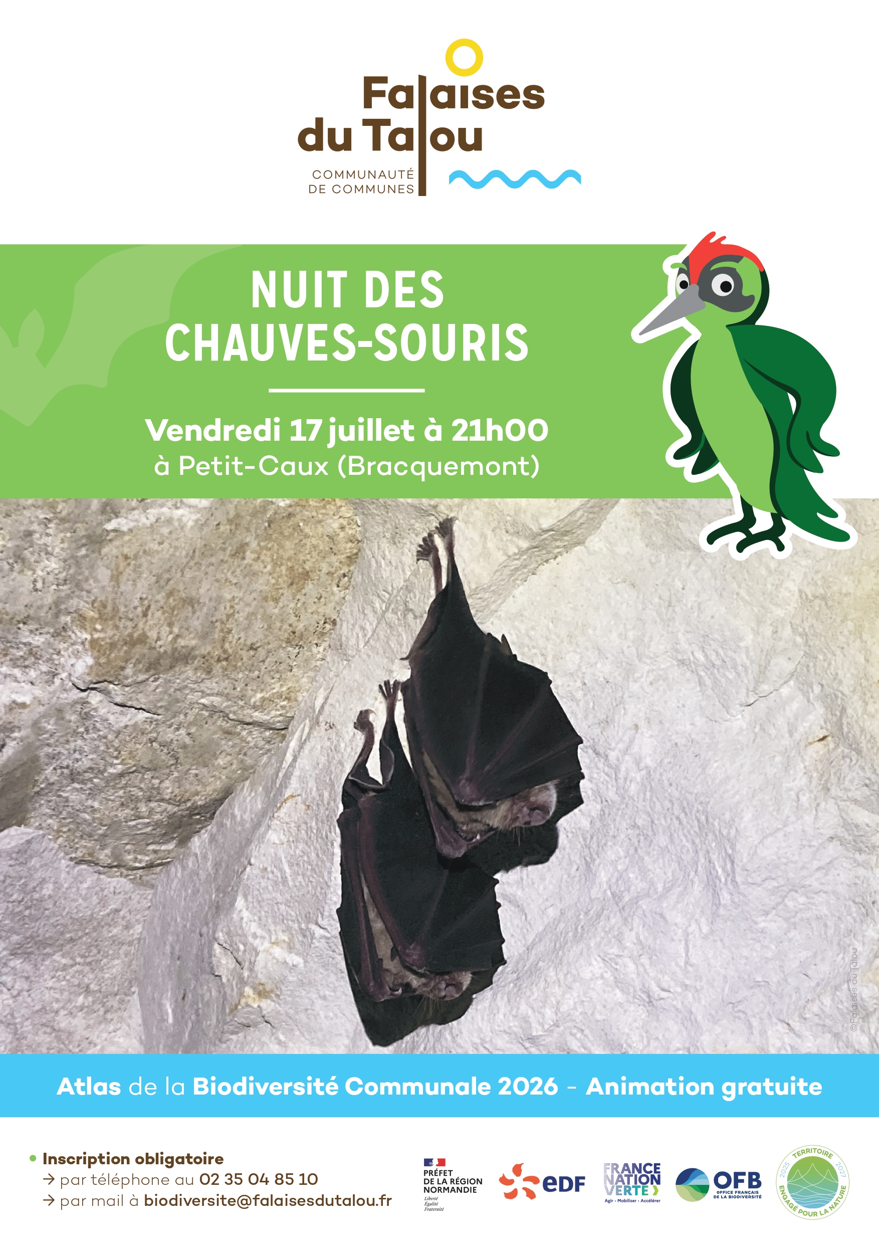 Nuit des chauves-souris