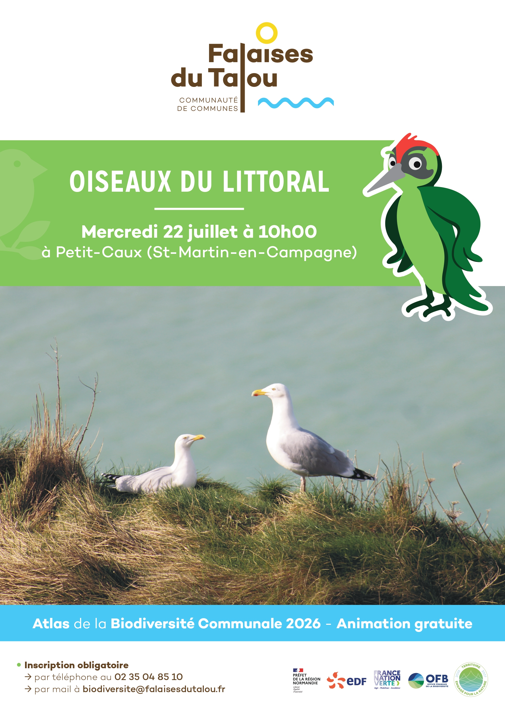 Oiseaux du littoral