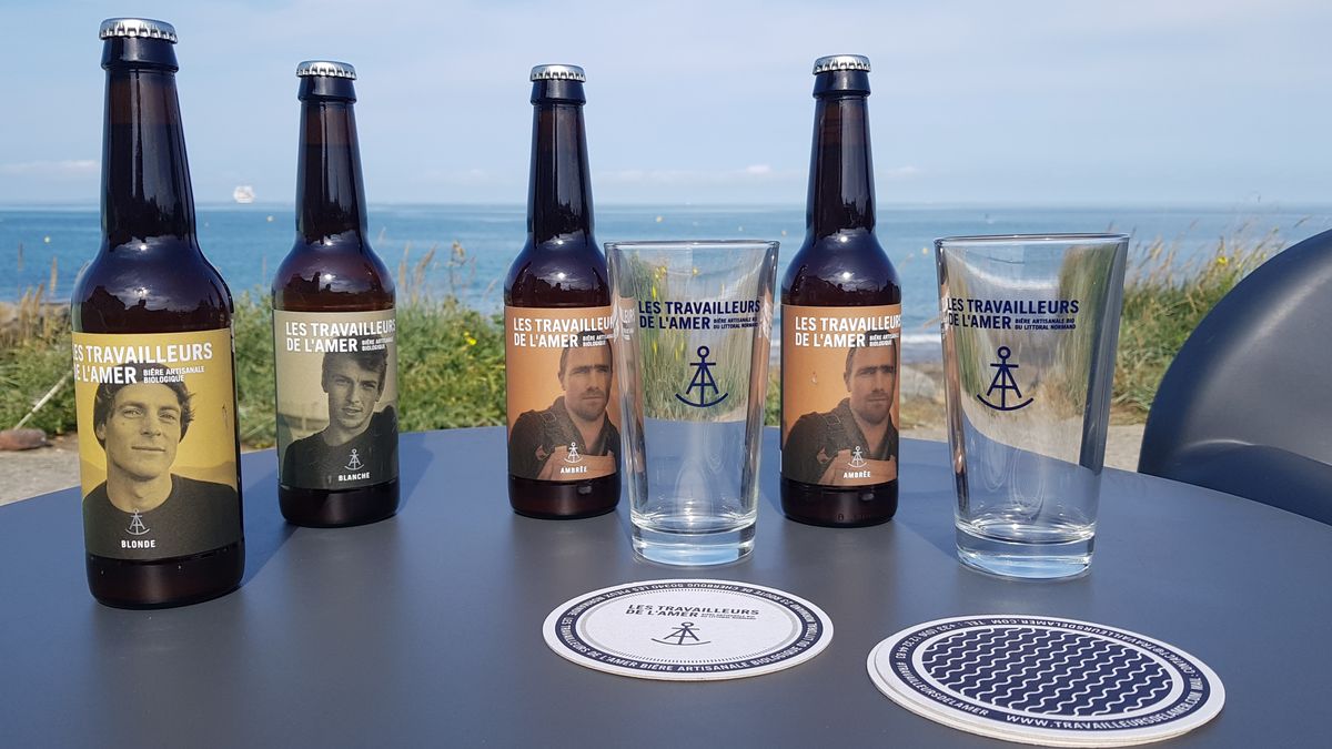 Le P'tit Baigneur, Donville-les-Bains - photo 29