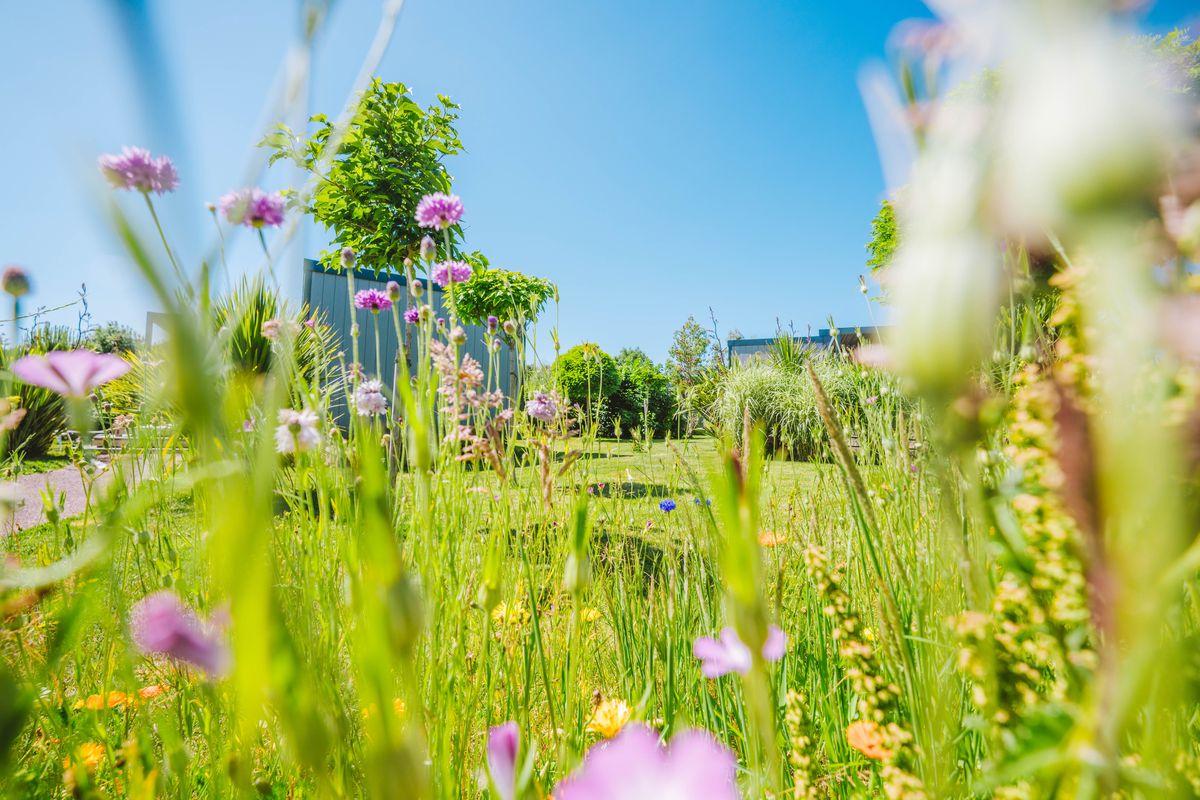 Camping Les Îles - Vagues océanes, Hudimesnil - photo 10