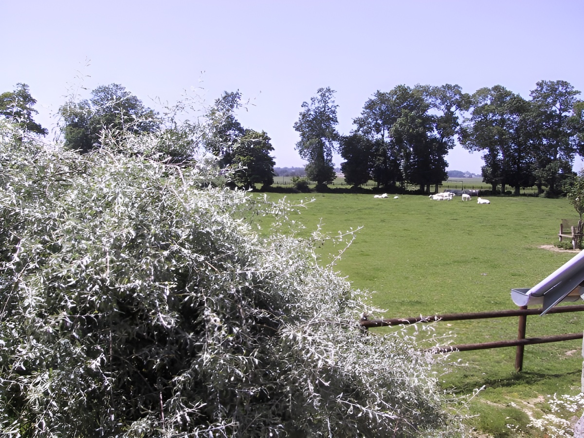 La ferme des Châtaigniers, Vienne-en-Bessin - photo 10