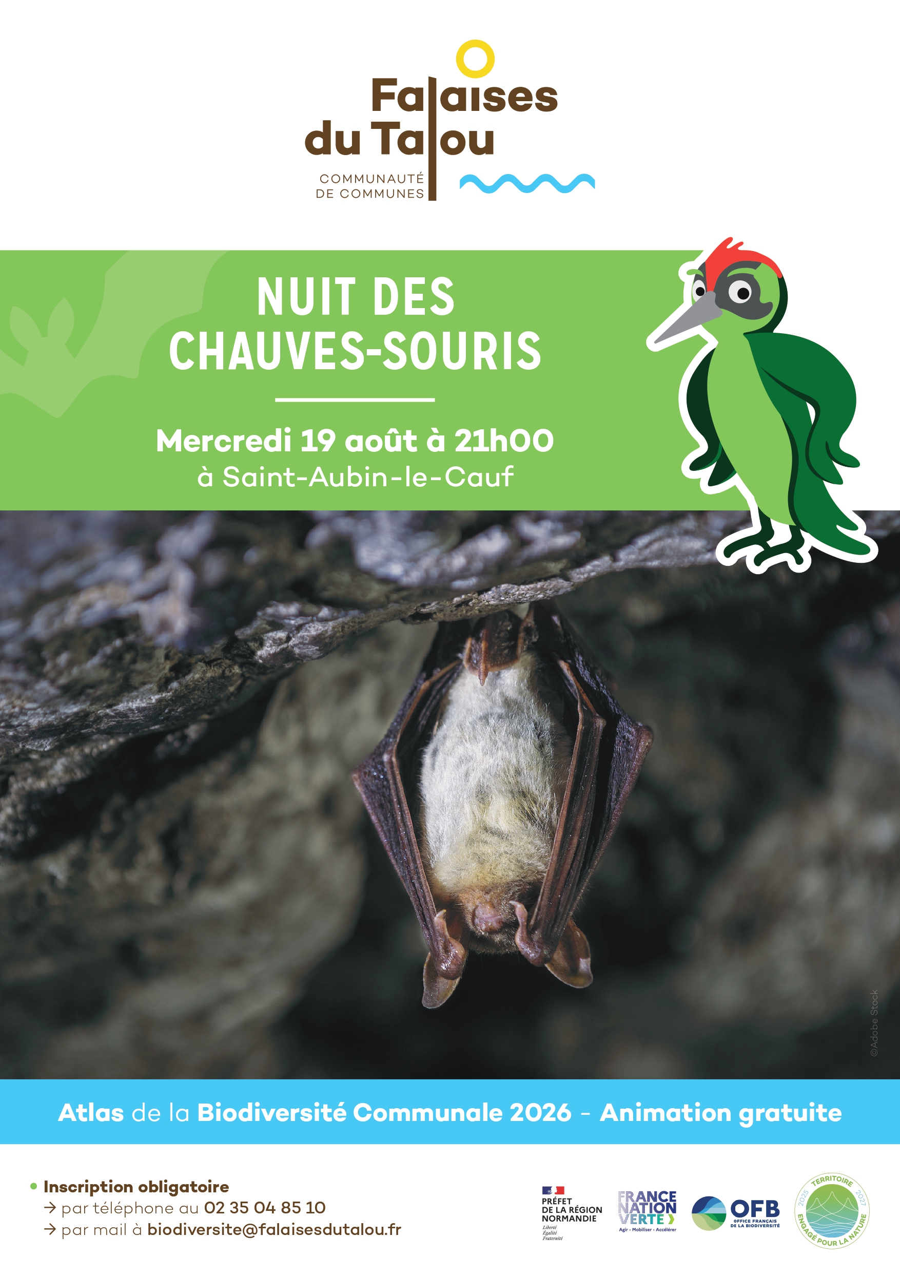 Nuit des chauves-souris