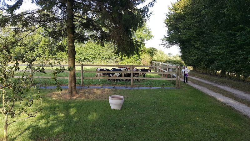 Meublé de tourisme > La Bocagère d’Henri, Carentan-les-Marais - photo 15