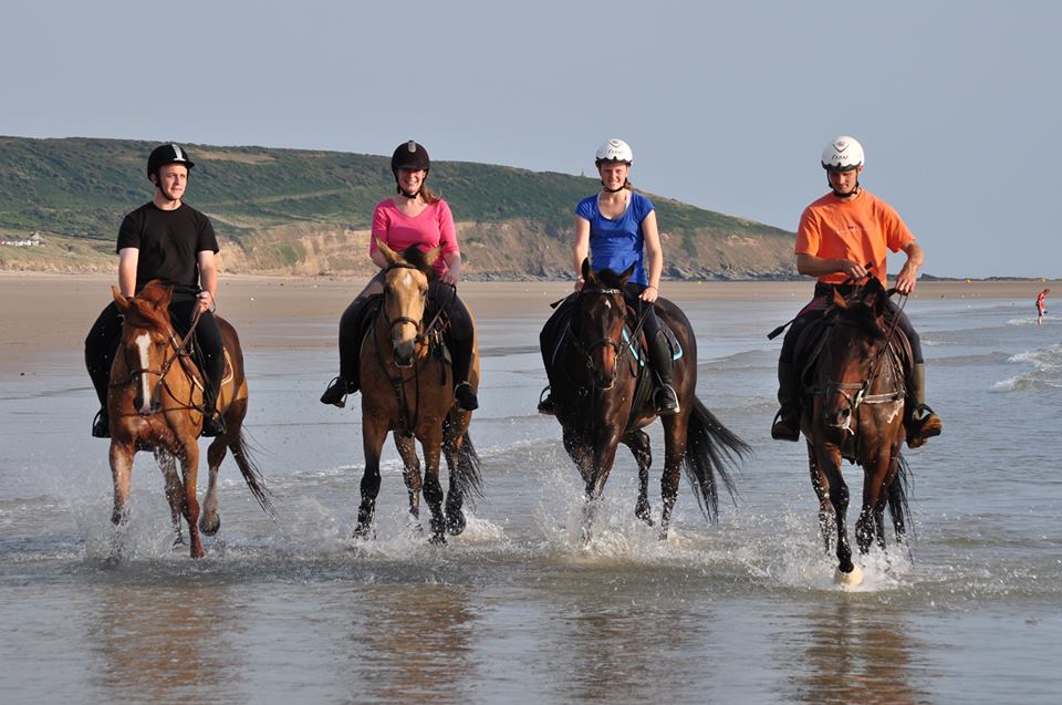 Complexe Hippique des Pieux