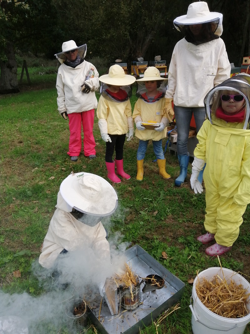 Expérience de Destination : Vivez ma passion avec les abeilles !
