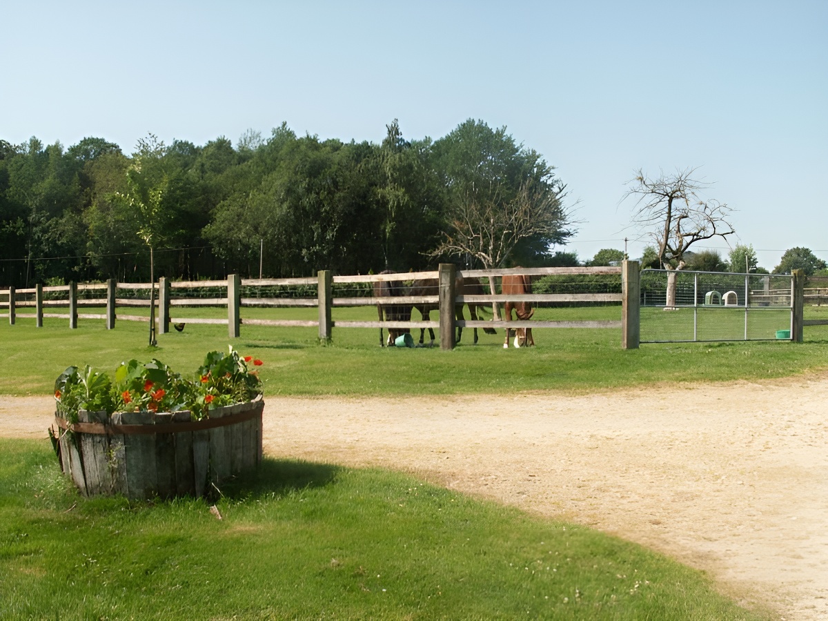 Ferme de la Calèche - L'écurie, Saint-Germain-de-Livet - photo 17