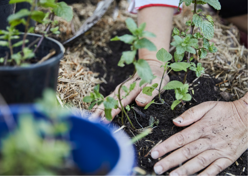Atelier adultes : Jardin — visuel événement