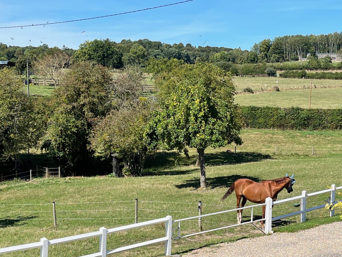 Le Gîte Pâquerette, Hermival-les-Vaux - photo 11