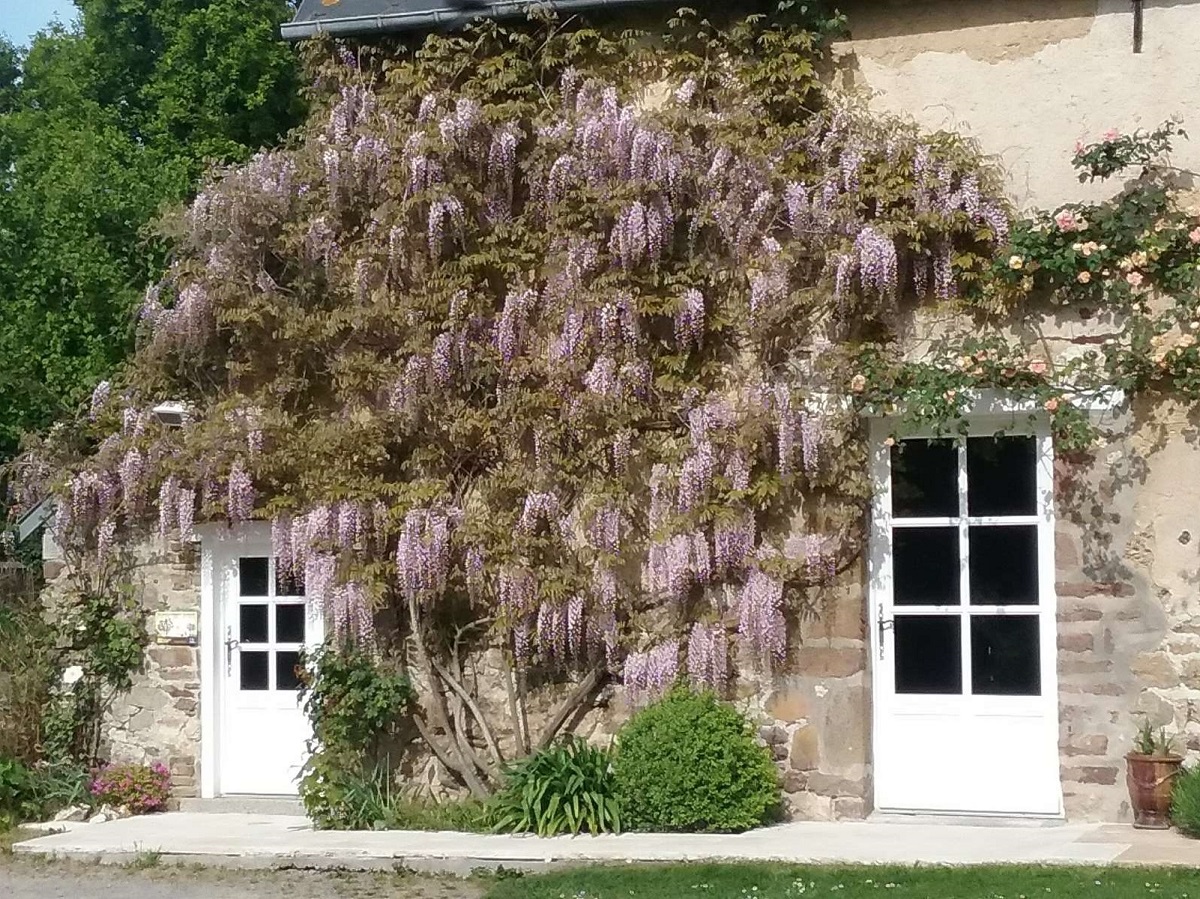 Chambre d'Hôtes > La Meauffre, Longueville - photo 17