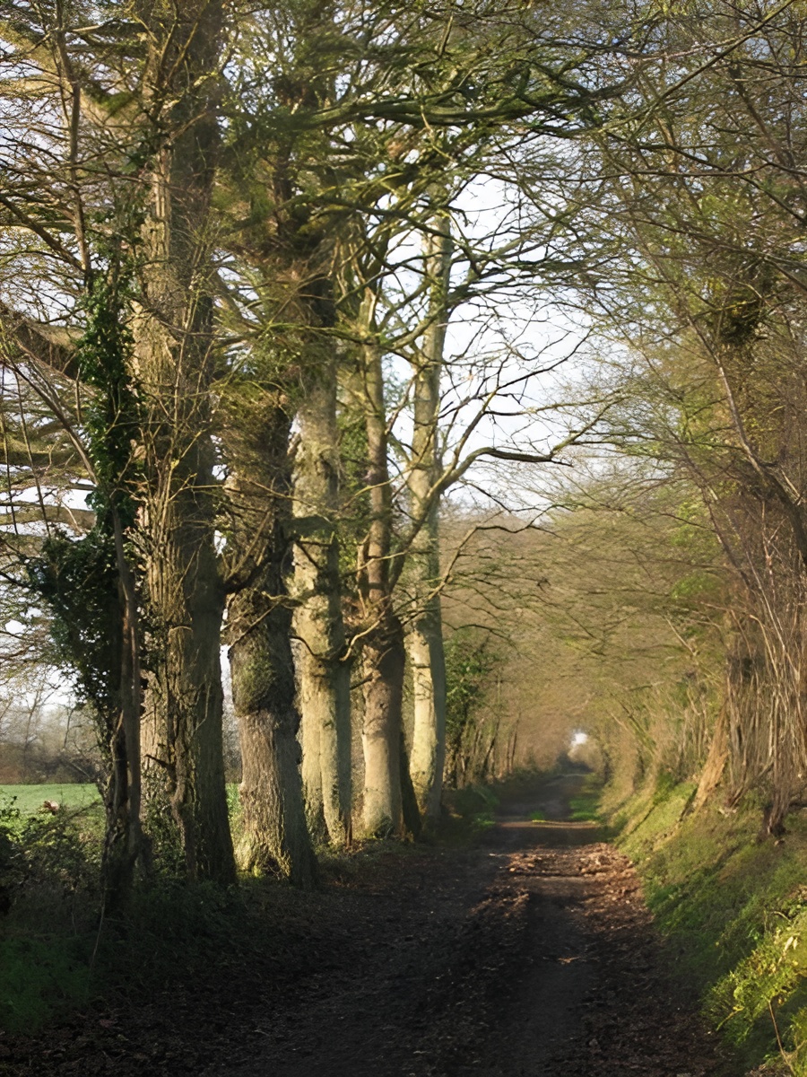 GITE LE PASSE COMPOSE A SAON, Saon - photo 7