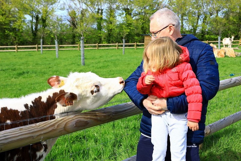 Ferme-musée du Cotentin, Sainte-Mère-Église - photo 17
